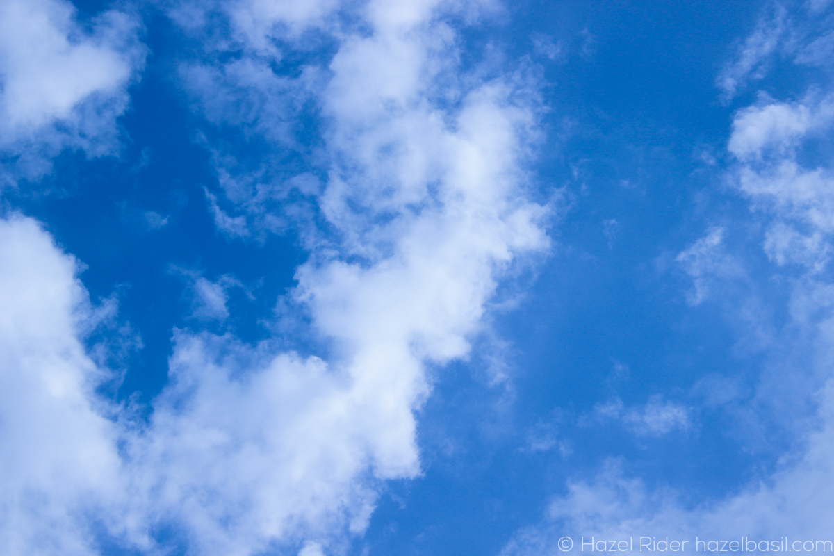 ©Hazel Rider, photography, hazelbasil.com